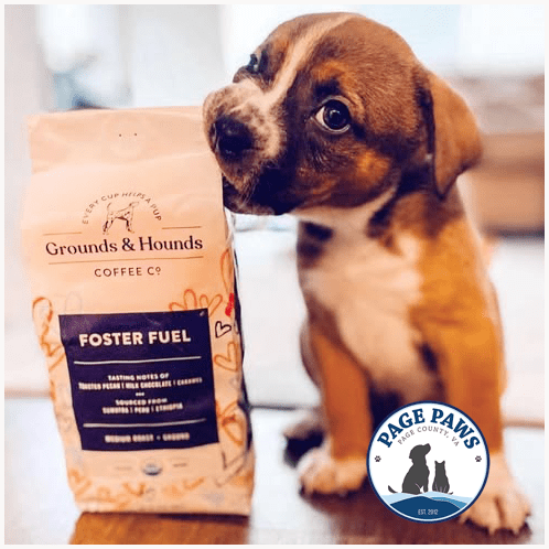 Grounds for Hounds